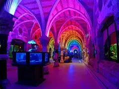 SEALIFE Brighton Aquarium